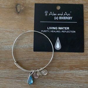 Alex and Ani bracelet Living Water